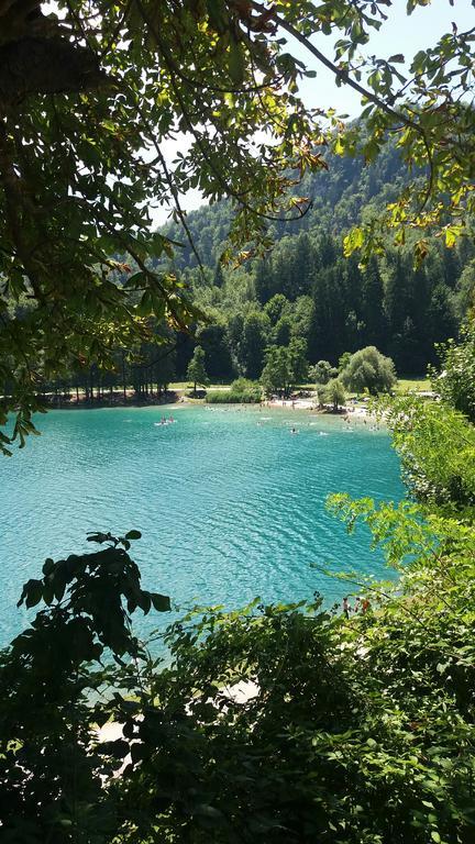 Stepanjan * Bled