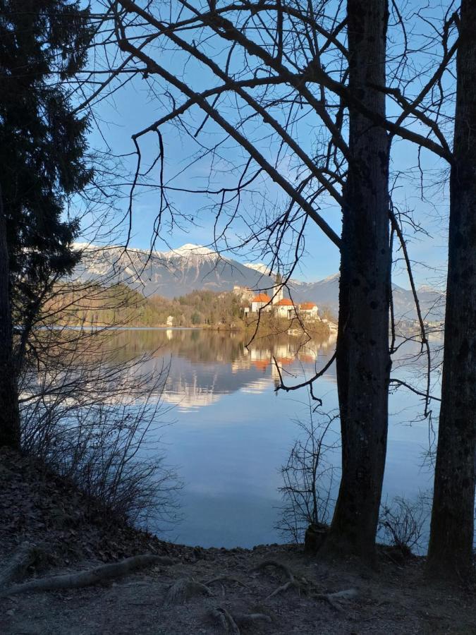Stepanjan * Bled